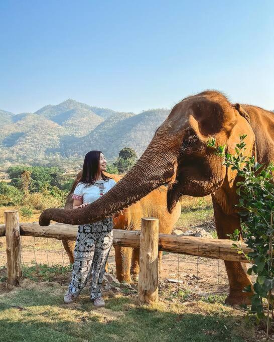 Elephantpoolvilla Maetang Chiangmai Ban Muang Kut Exterior photo